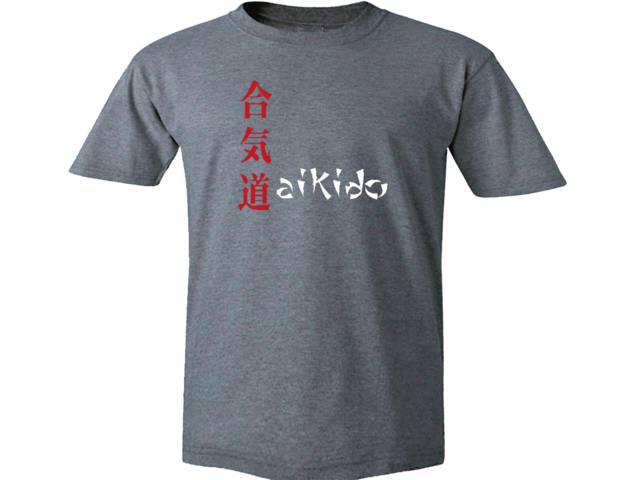 Aikido japanese martial arts MMA gray t-shirt