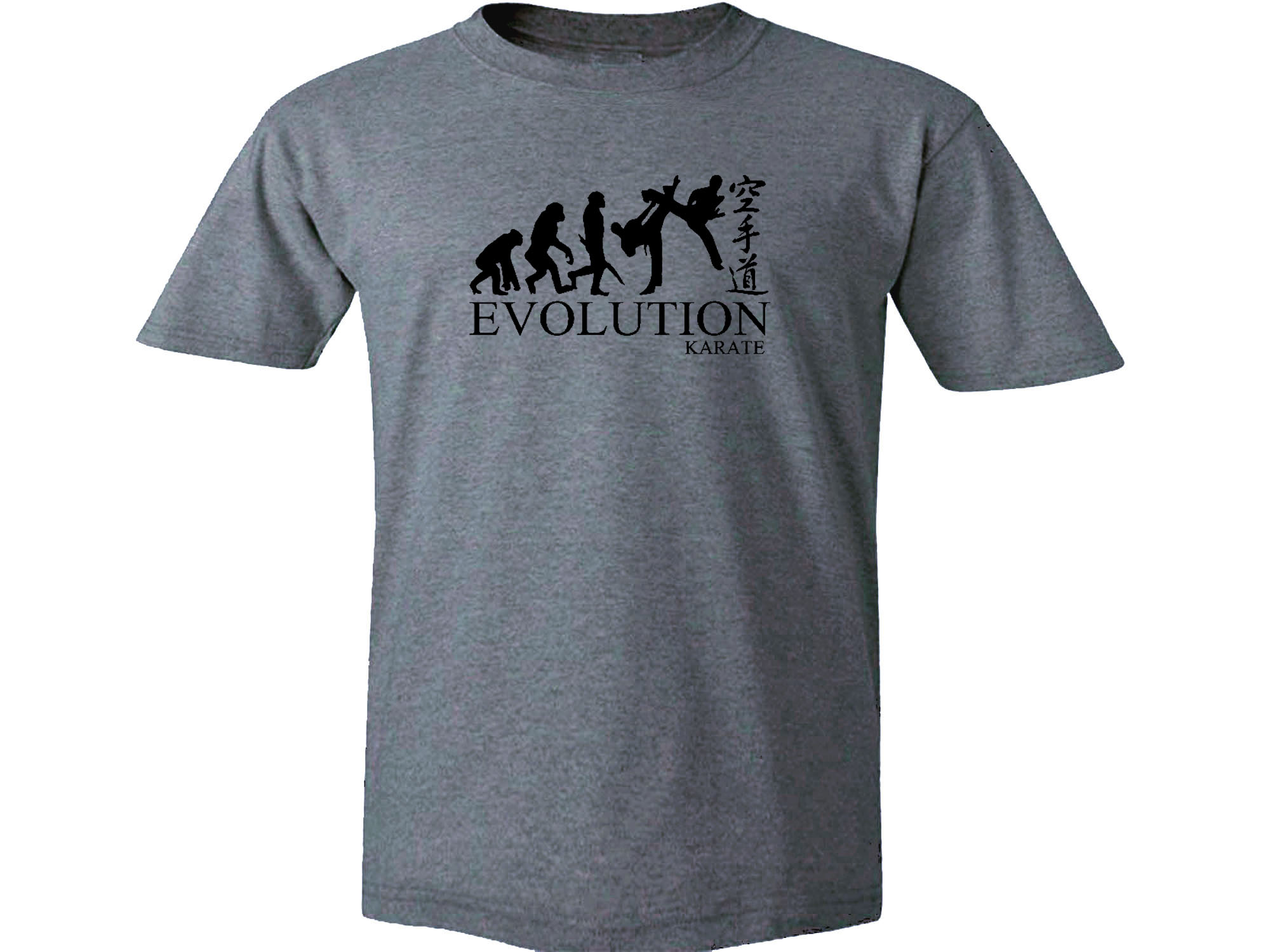 Karate evolution martial arts gray t-shirt