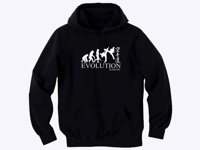 Evolution Karate martial arts evolve pullover sweat hoodie