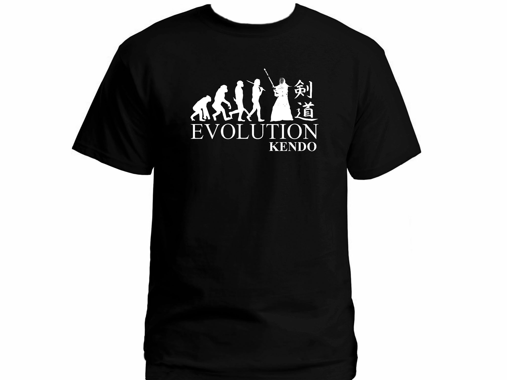 Evolution Kendo Japanese martial arts MMA t-shirt