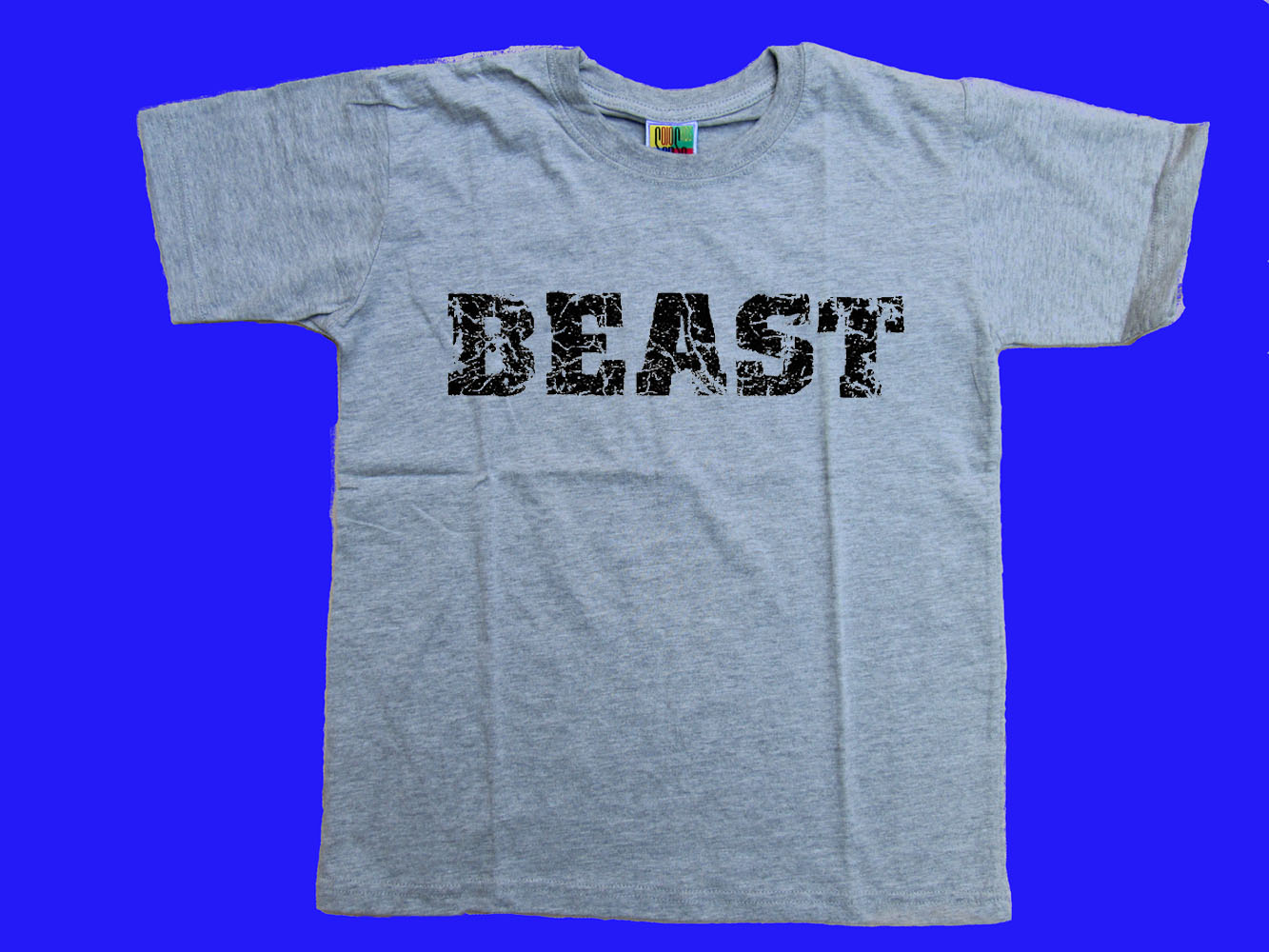 Beast distressed print funny children sizes gray t-shirt