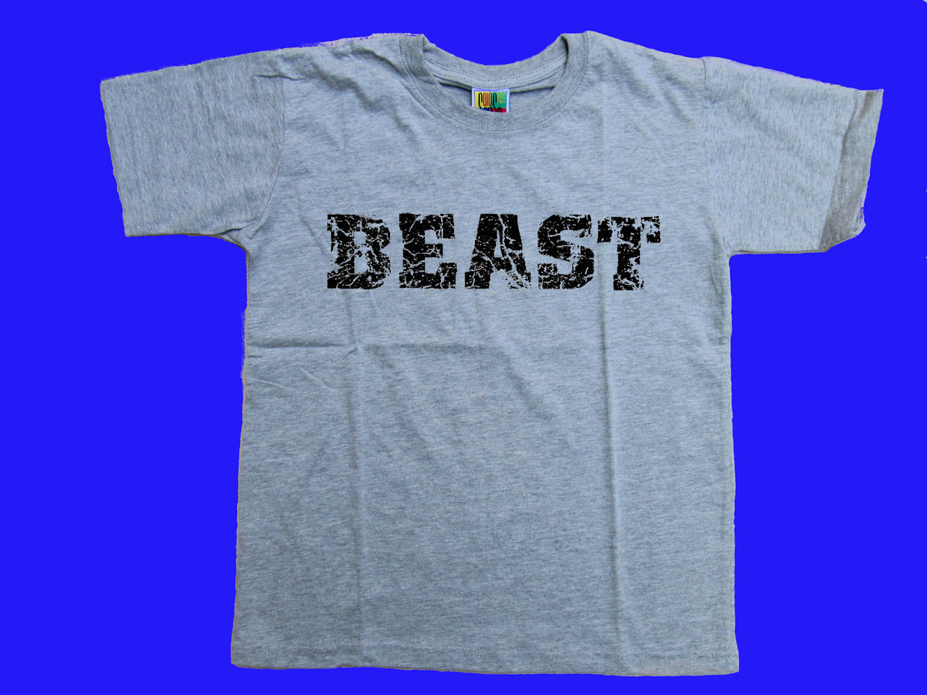 Beast distressed print funny children sizes gray t-shirt