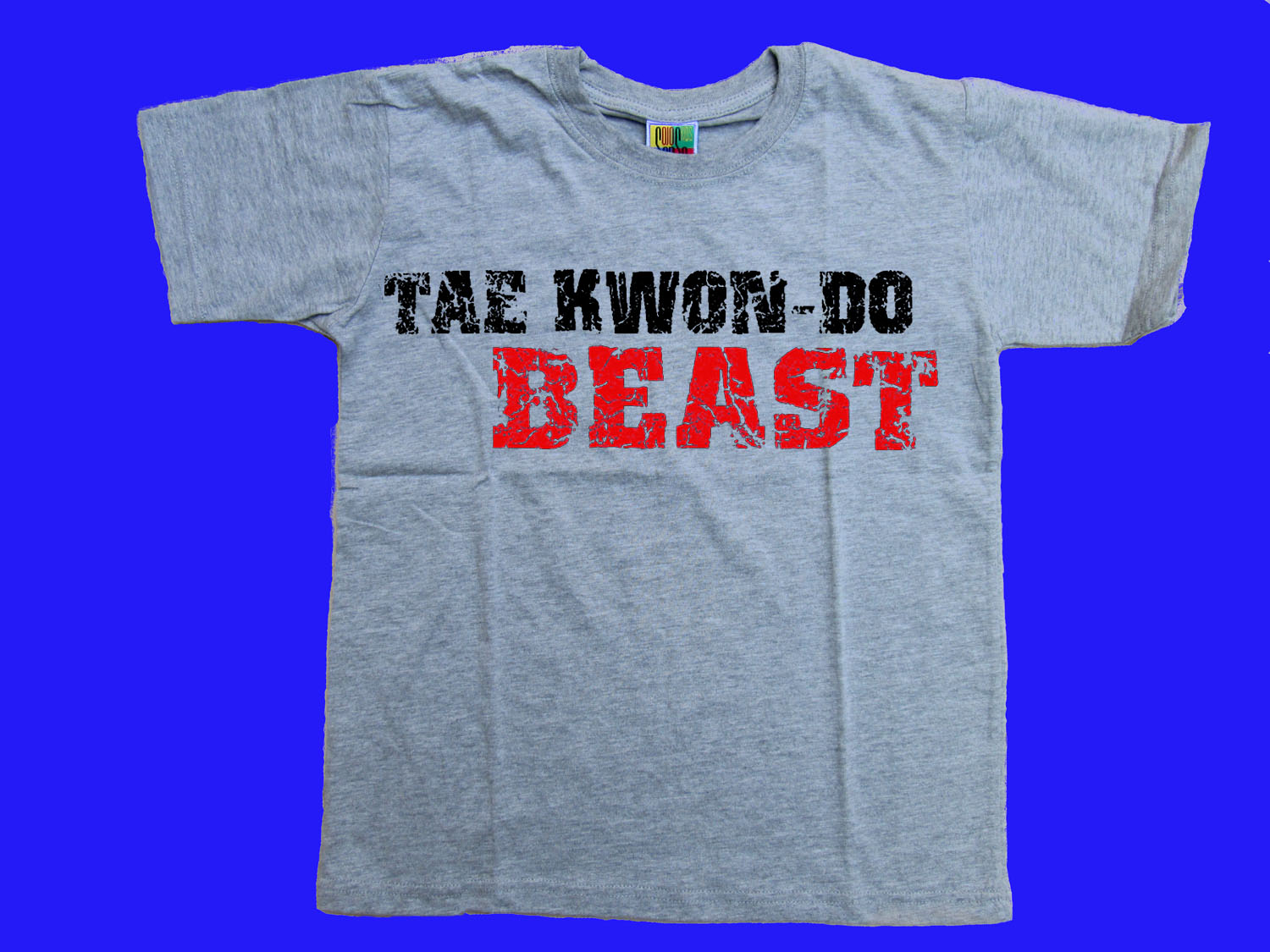 Taekwondo beast children t-shirt