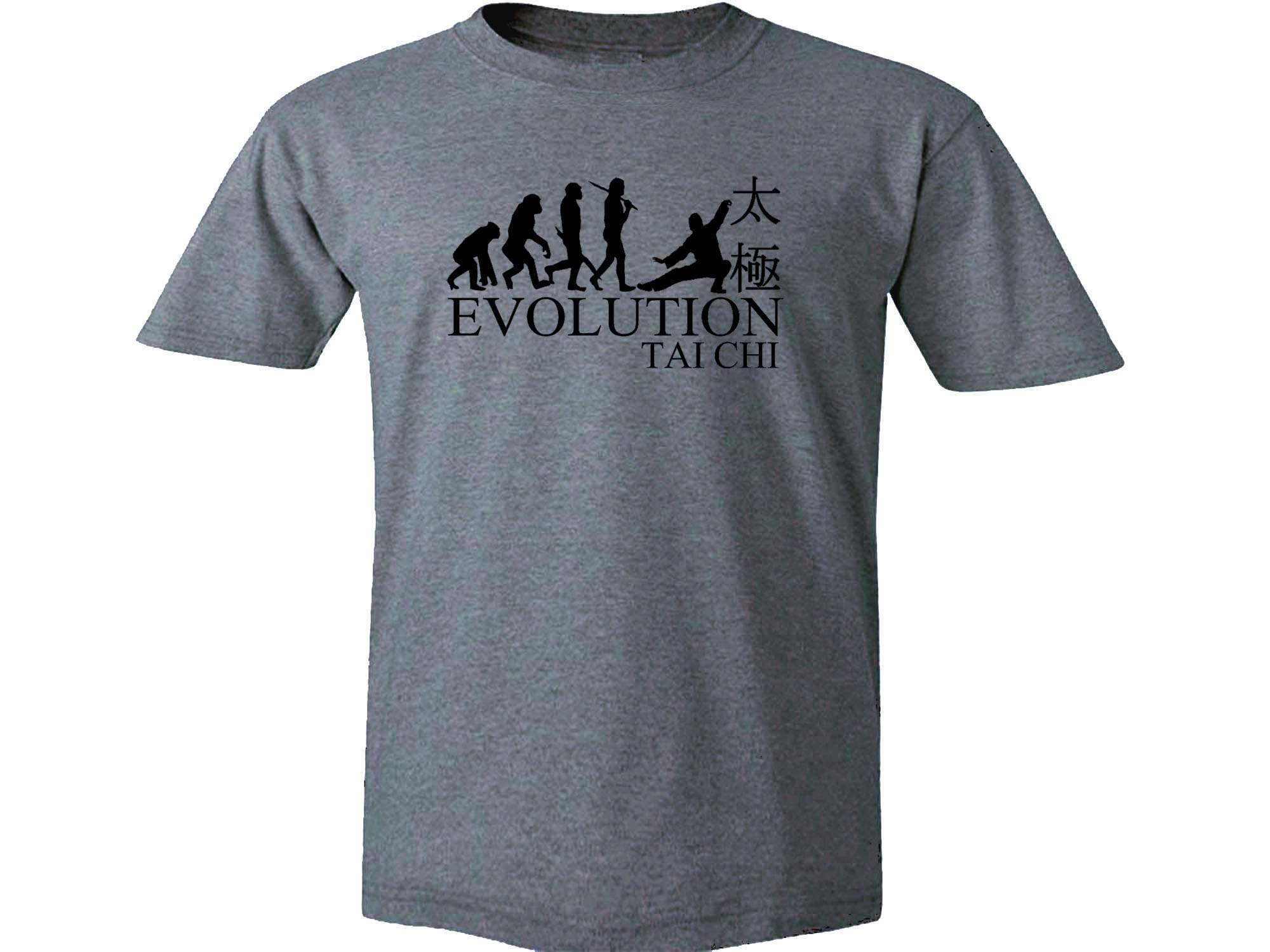 Tai Chi evolution Martial arts 100% cotton graphic t-shirt